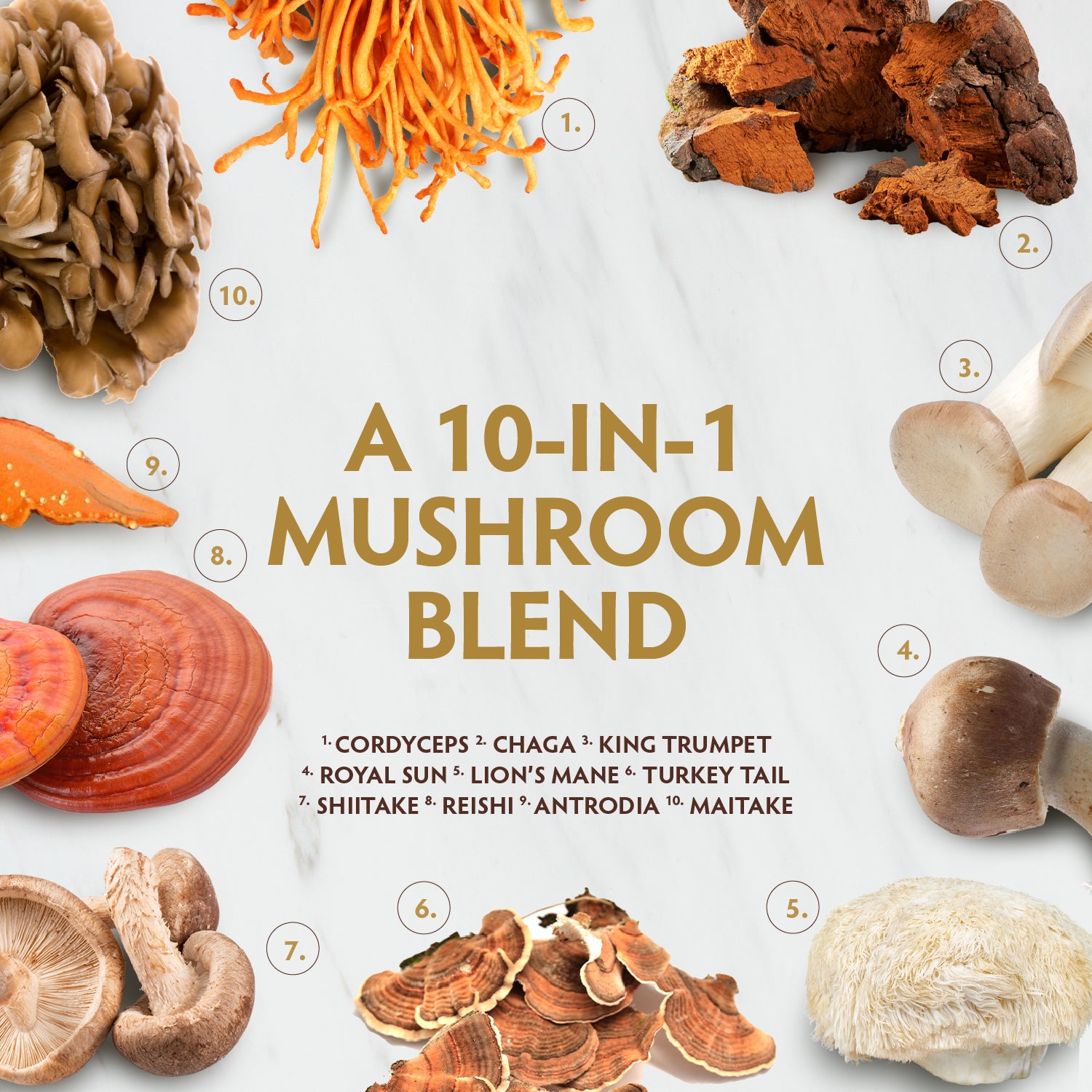 Mushroom Golden Blend Powder